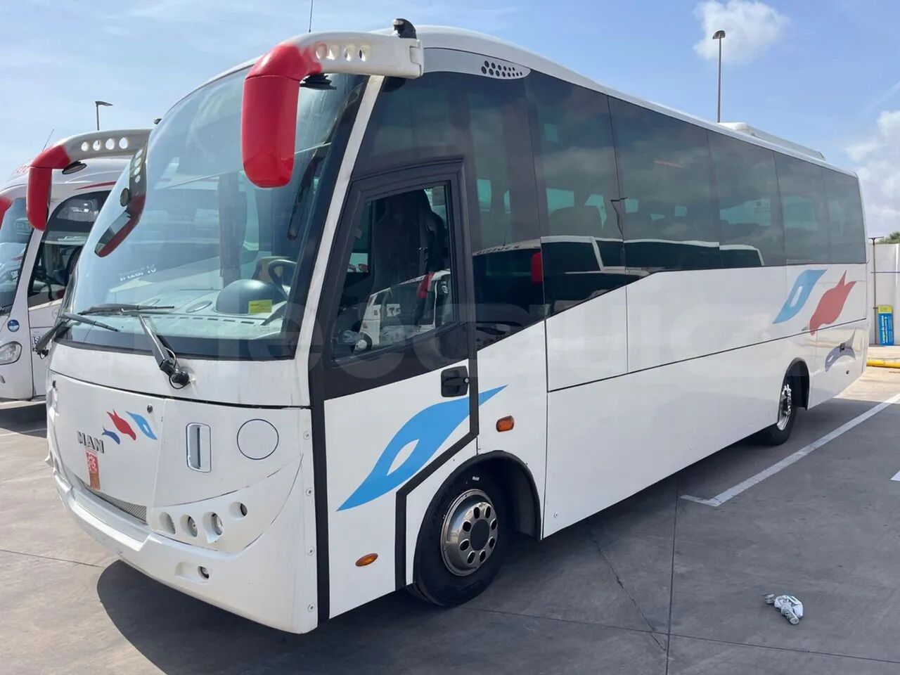 Man STC1 - Coach: picture 2 Man STC1 - Coach: picture 2