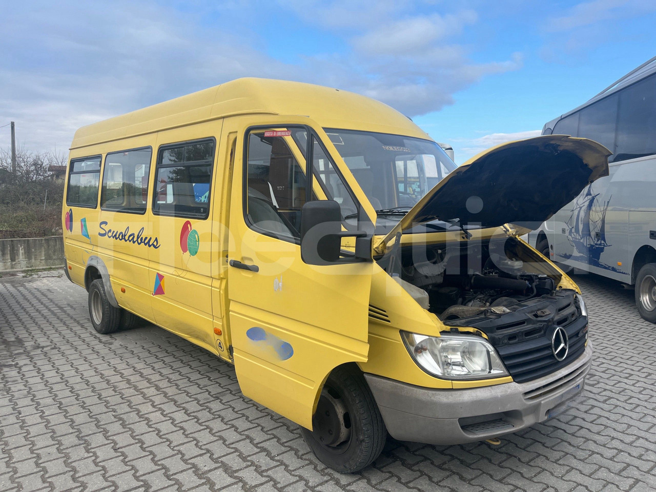 Mercedes-Benz Sprinter - School bus: picture 1 Mercedes-Benz Sprinter - School bus: picture 1