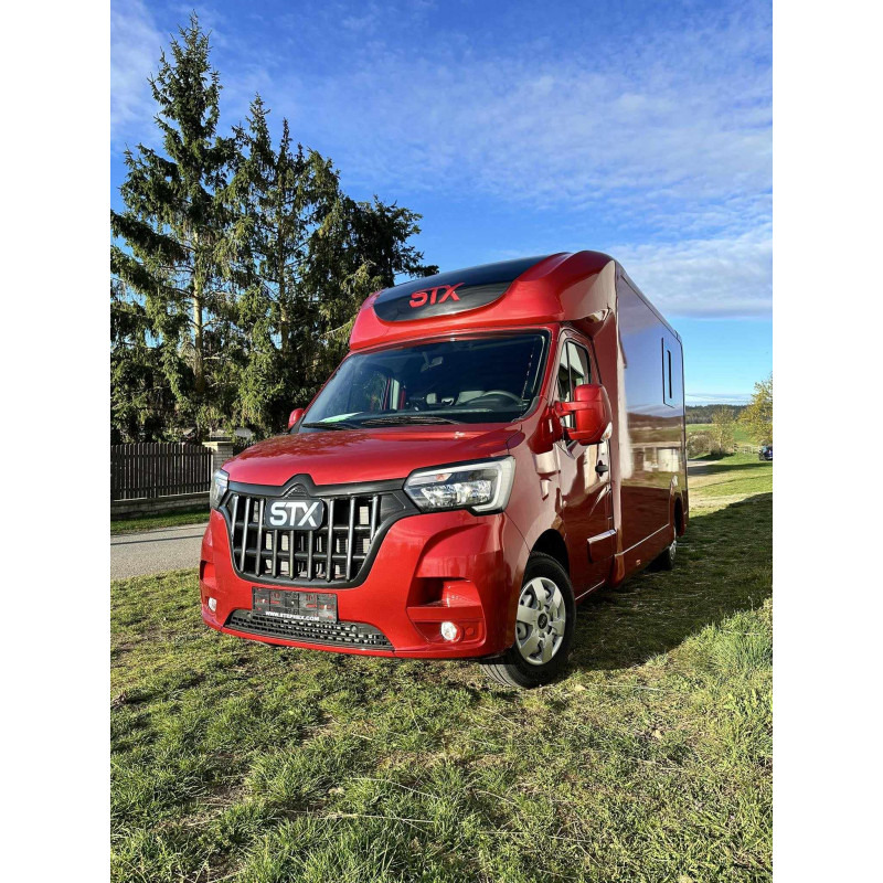 Renault STX Master by Stephex - Horse truck: picture 2 Renault STX Master by Stephex - Horse truck: picture 2