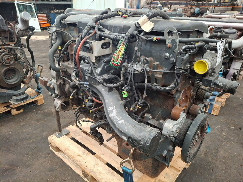 Iveco F3AE3681D ( CURSOR10 ) - Engine: picture 4 Iveco F3AE3681D ( CURSOR10 ) - Engine: picture 4