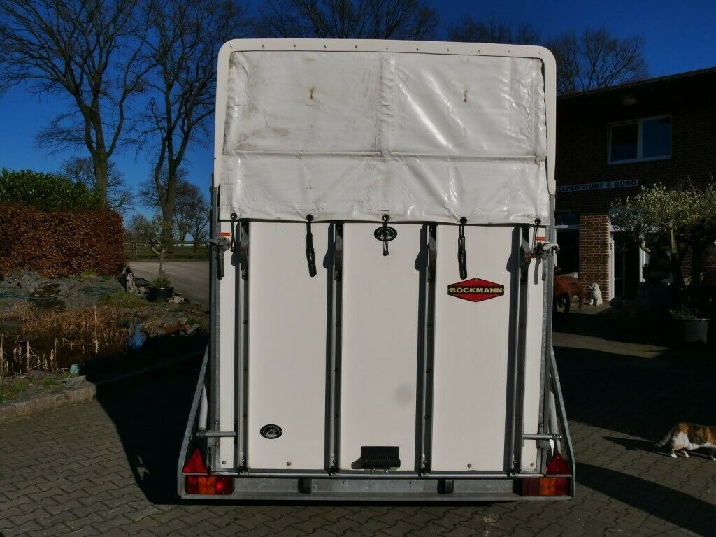 Böckmann Big Master Boden NEU - Horse trailer: picture 3 Böckmann Big Master Boden NEU - Horse trailer: picture 3