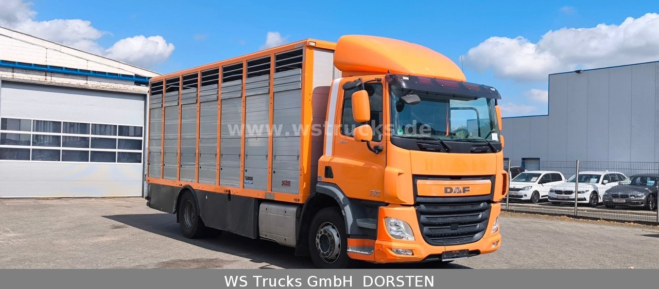 DAF CF 400 Menke Einstock Viehtransporter - Horse truck: picture 4 DAF CF 400 Menke Einstock Viehtransporter - Horse truck: picture 4