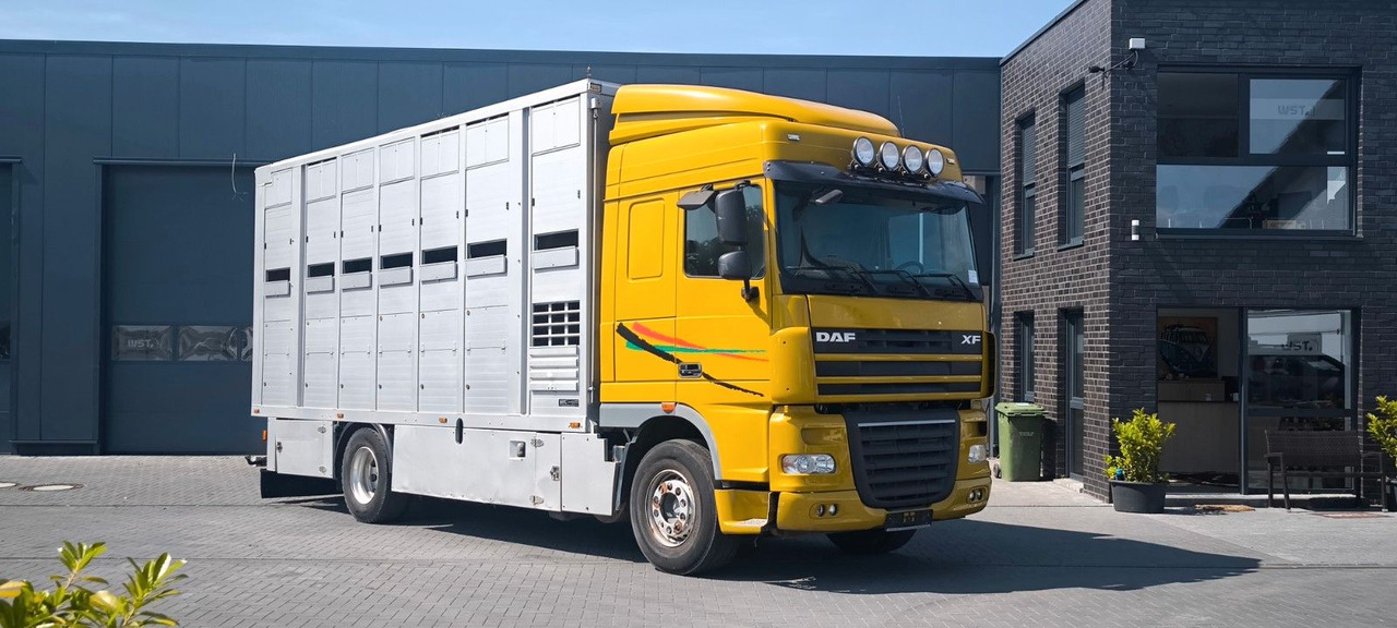 DAF XF 410 SC Menke Doppelstock - Horse truck: picture 2 DAF XF 410 SC Menke Doppelstock - Horse truck: picture 2