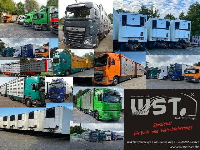 Refrigerator semi-trailer Krone 20 x Kühlauflieger  Vector 1550  *NEU*SAF Sofort: picture 21