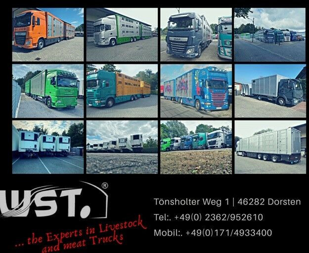 Closed box semi-trailer Krone 20 x Kühlauflieger  Vector 1550  *NEU*SAF Sofort: picture 23