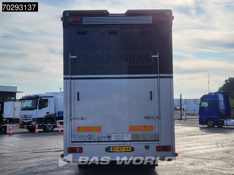 MAN FL 4X2 NL-Horsetruck 6 Horses with Living Pferdentransport Manual Euro 2 - Horse truck: picture 3 MAN FL 4X2 NL-Horsetruck 6 Horses with Living Pferdentransport Manual Euro 2 - Horse truck: picture 3