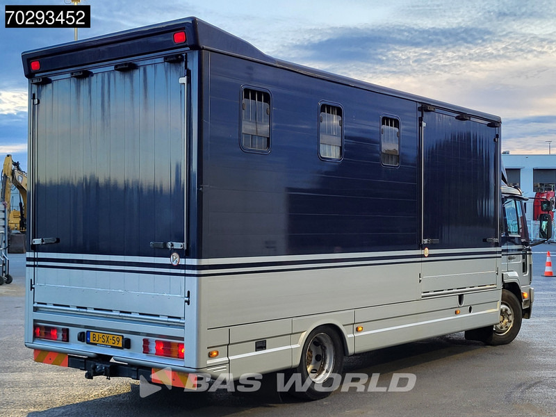 Volvo FL6 180 FL 4X2 NL-Horsetruck 4 Horses Pferdentransport Manual Euro 2 - Livestock truck: picture 5 Volvo FL6 180 FL 4X2 NL-Horsetruck 4 Horses Pferdentransport Manual Euro 2 - Livestock truck: picture 5