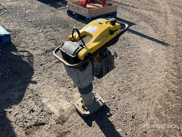 2019 Wacker Neuson Rammer BS50-4AS Jumping Jack Tamper - Other machinery: picture 1 2019 Wacker Neuson Rammer BS50-4AS Jumping Jack Tamper - Other machinery: picture 1