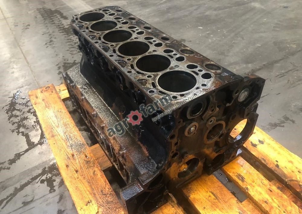 Engine for Truck BLOK SILNIKA SAME IRON 130 04289543: picture 1