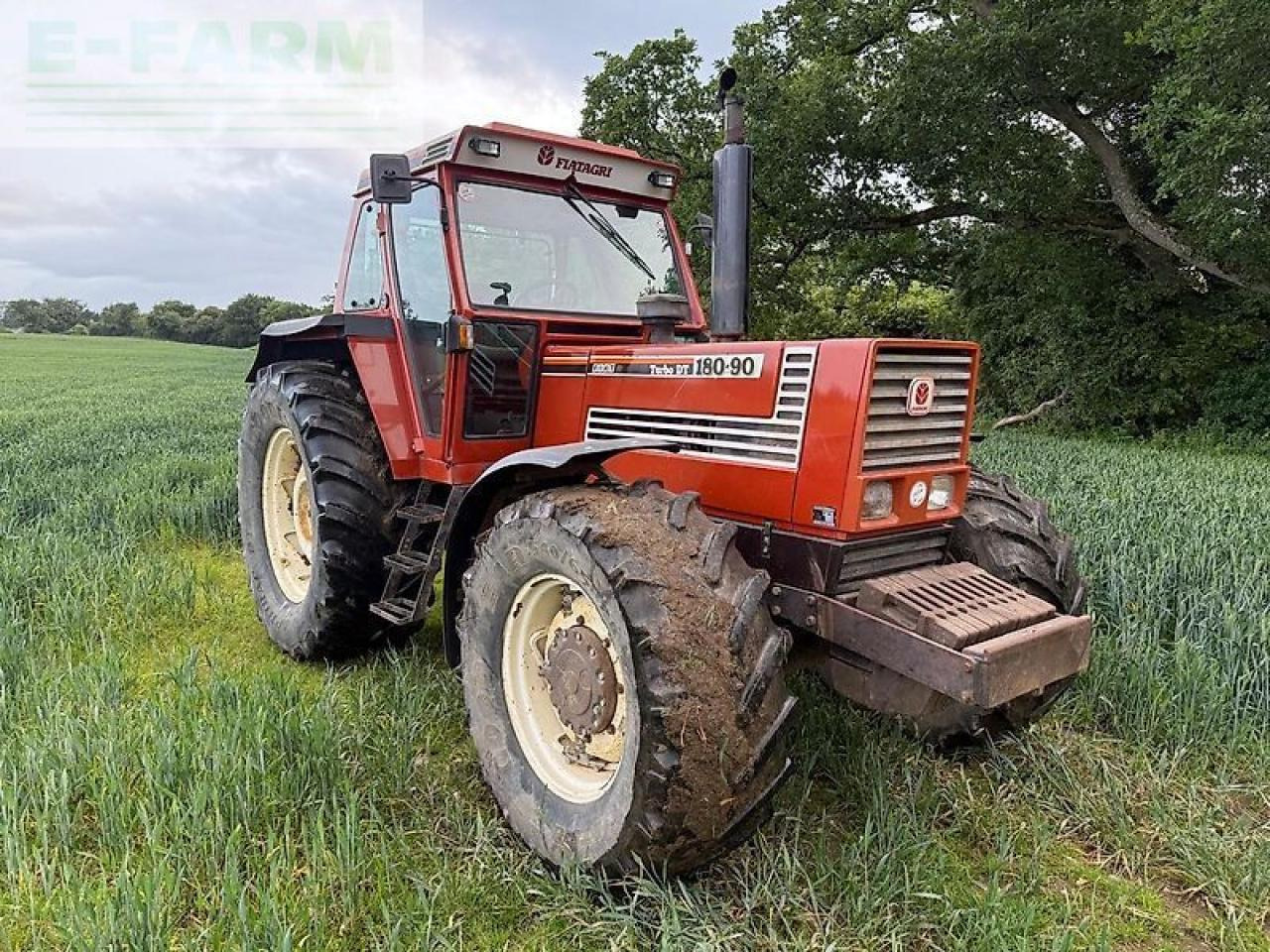 Fiat Agri 180-90 - Farm tractor: picture 2 Fiat Agri 180-90 - Farm tractor: picture 2