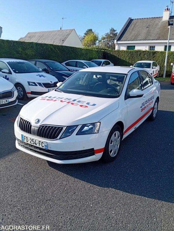 FD-254-FC - Non Roulant - SKODA OCTAVIA - VP - 387 000 Kms - Car: picture 1 FD-254-FC - Non Roulant - SKODA OCTAVIA - VP - 387 000 Kms - Car: picture 1