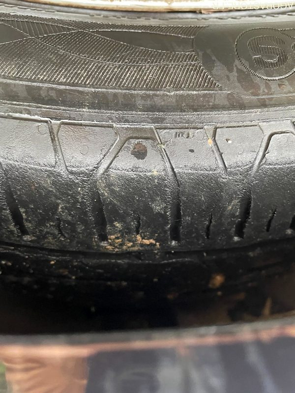 Car FORD-FOCUS-2015-170332KMS: picture 14 Car FORD-FOCUS-2015-170332KMS: picture 14