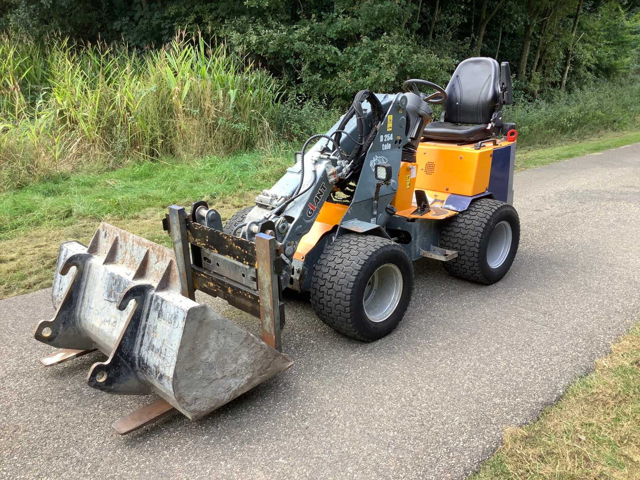 Giant D254 tele - Wheel loader: picture 1 Giant D254 tele - Wheel loader: picture 1