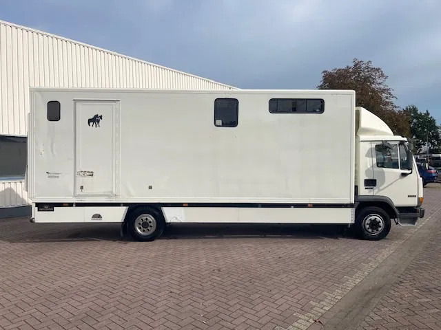 DAF LF 45.130 CLEAN HORSES NL-TRUCK - Horse truck: picture 5 DAF LF 45.130 CLEAN HORSES NL-TRUCK - Horse truck: picture 5