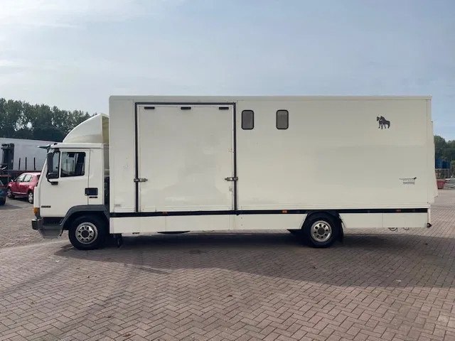 DAF LF 45.130 CLEAN HORSES NL-TRUCK - Horse truck: picture 4 DAF LF 45.130 CLEAN HORSES NL-TRUCK - Horse truck: picture 4