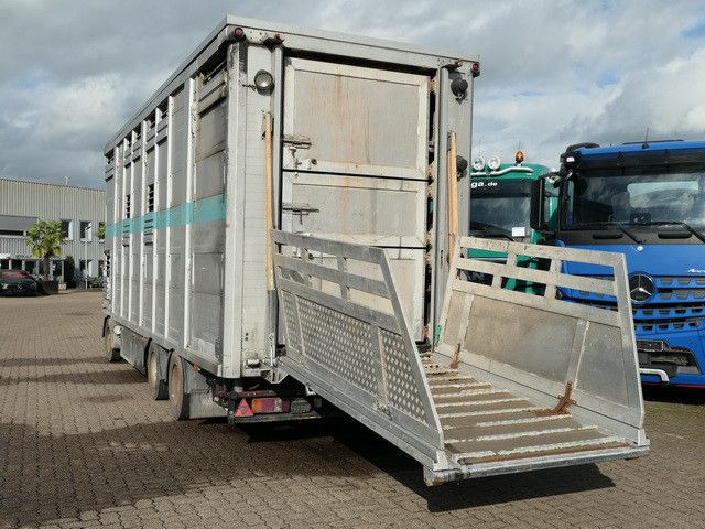 Bannas AT 24.83, 3 Etagen, Schweine, Liftachse - Livestock trailer: picture 4 Bannas AT 24.83, 3 Etagen, Schweine, Liftachse - Livestock trailer: picture 4