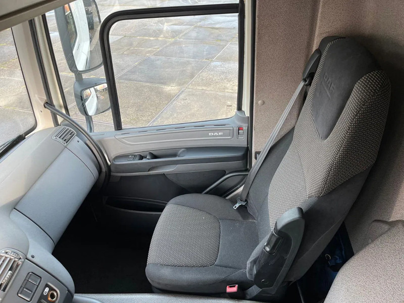 Cab chassis truck DAF CF 260 CF 260 FA CHASSIS CABINE EURO 6: picture 13