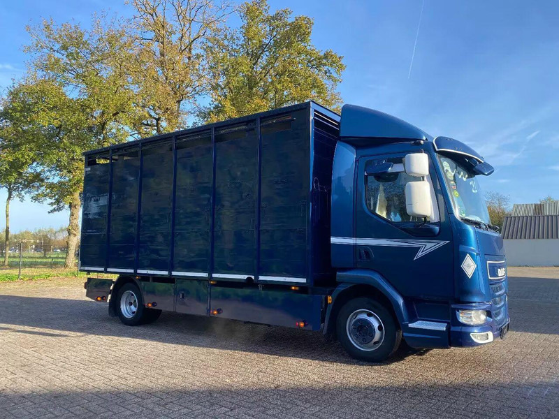 DAF LF 280 - Livestock truck: picture 2 DAF LF 280 - Livestock truck: picture 2
