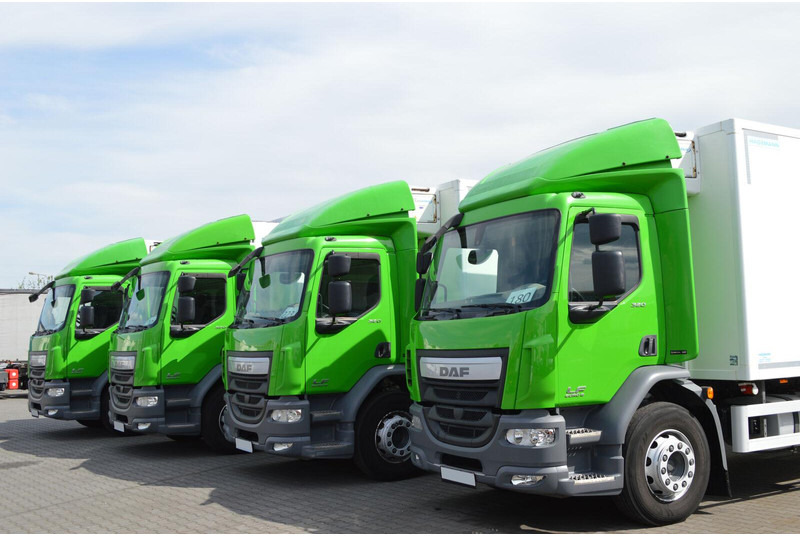 DAF LF 320 - Refrigerator truck: picture 3 DAF LF 320 - Refrigerator truck: picture 3