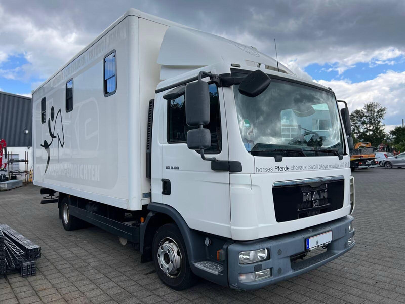 MAN TGL 8.180 - Horse transporter - Horse truck: picture 2 MAN TGL 8.180 - Horse transporter - Horse truck: picture 2