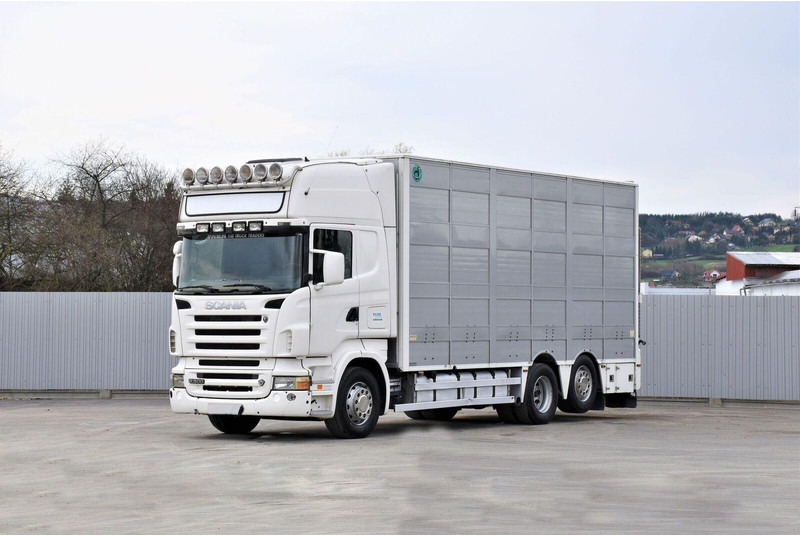 Scania R 500 - Livestock truck: picture 1 Scania R 500 - Livestock truck: picture 1