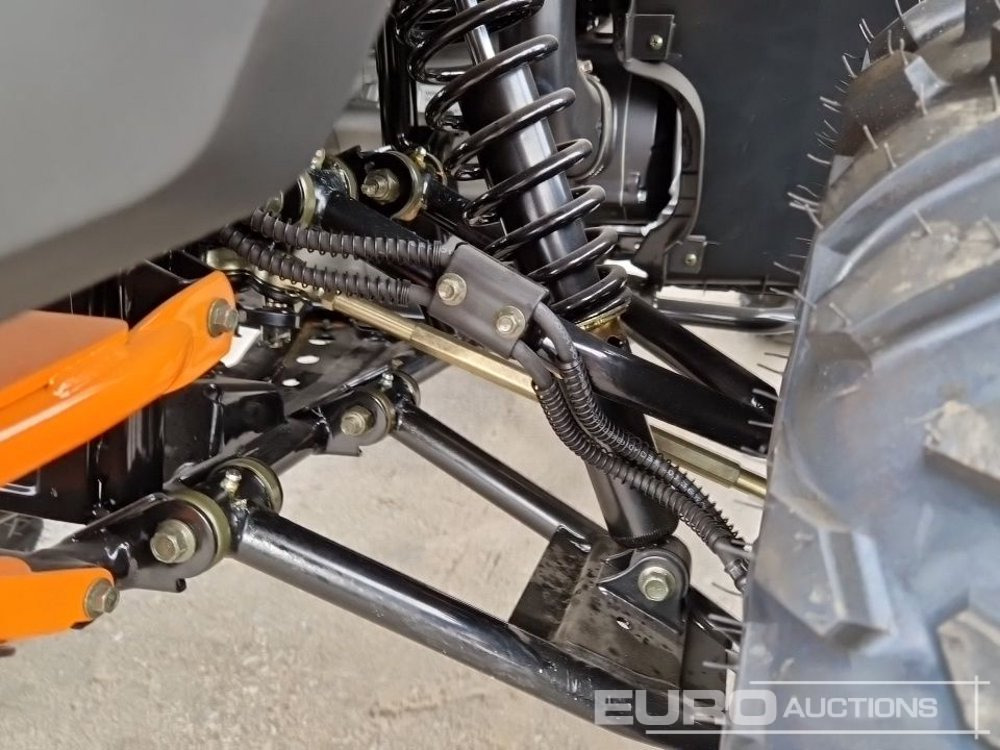 Side-by-side/ ATV Unused TAO Motors TGA300F: picture 14