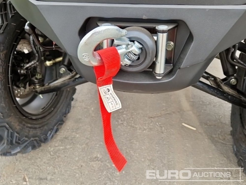 Side-by-side/ ATV Unused TAO Motors TGA300F: picture 18
