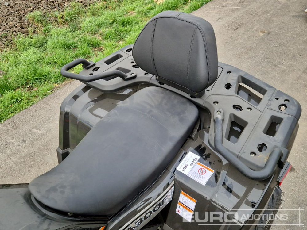 Side-by-side/ ATV Unused TAO Motors TGA300F: picture 21