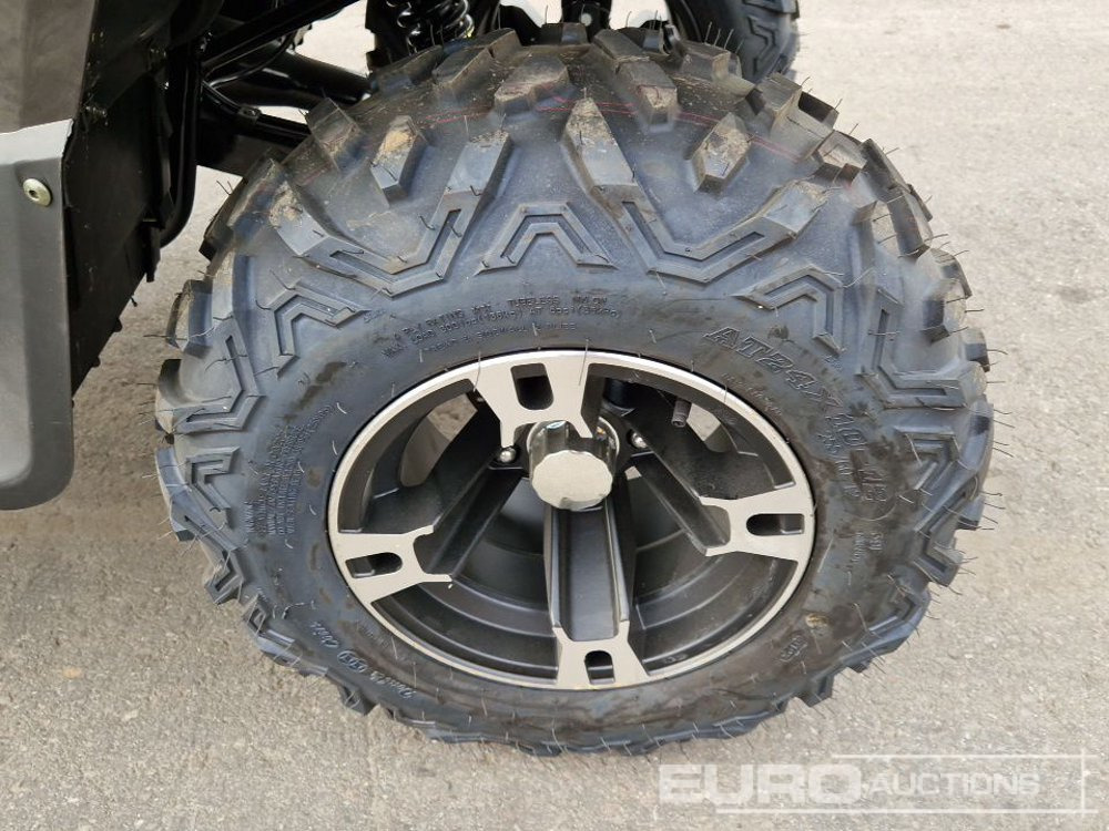 Side-by-side/ ATV Unused TAO Motors TGA300F: picture 11