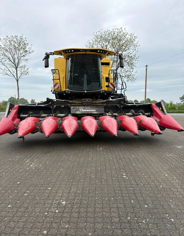 Geringhoff Horizon Star I - Corn header: picture 1 Geringhoff Horizon Star I - Corn header: picture 1