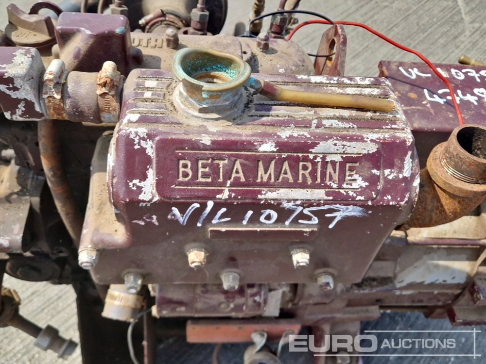 Engine Kubota 3 Cylinder Engine: picture 13