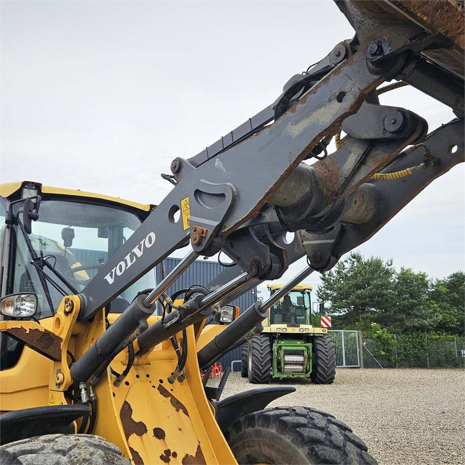 Wheel loader Volvo L45F-TP: picture 13