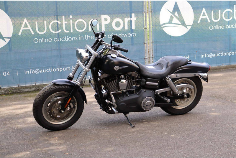 Motorcycle Harley-Davidson Dyna Fat Bob: picture 10