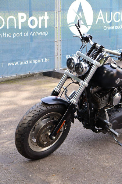 Motorcycle Harley-Davidson Dyna Fat Bob: picture 11