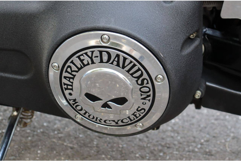 Motorcycle Harley-Davidson Dyna Fat Bob: picture 18