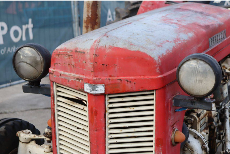 Farm tractor Massey Ferguson Ferguson Vintage Tractor: picture 10