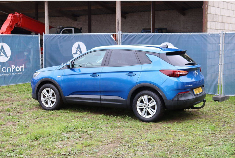 Opel Grandland X - Sedan: picture 3 Opel Grandland X - Sedan: picture 3
