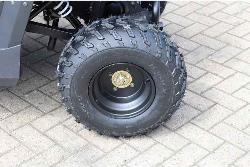 New Golf cart Wextrem UTV-ATV 200Pro: picture 14 New Golf cart Wextrem UTV-ATV 200Pro: picture 14