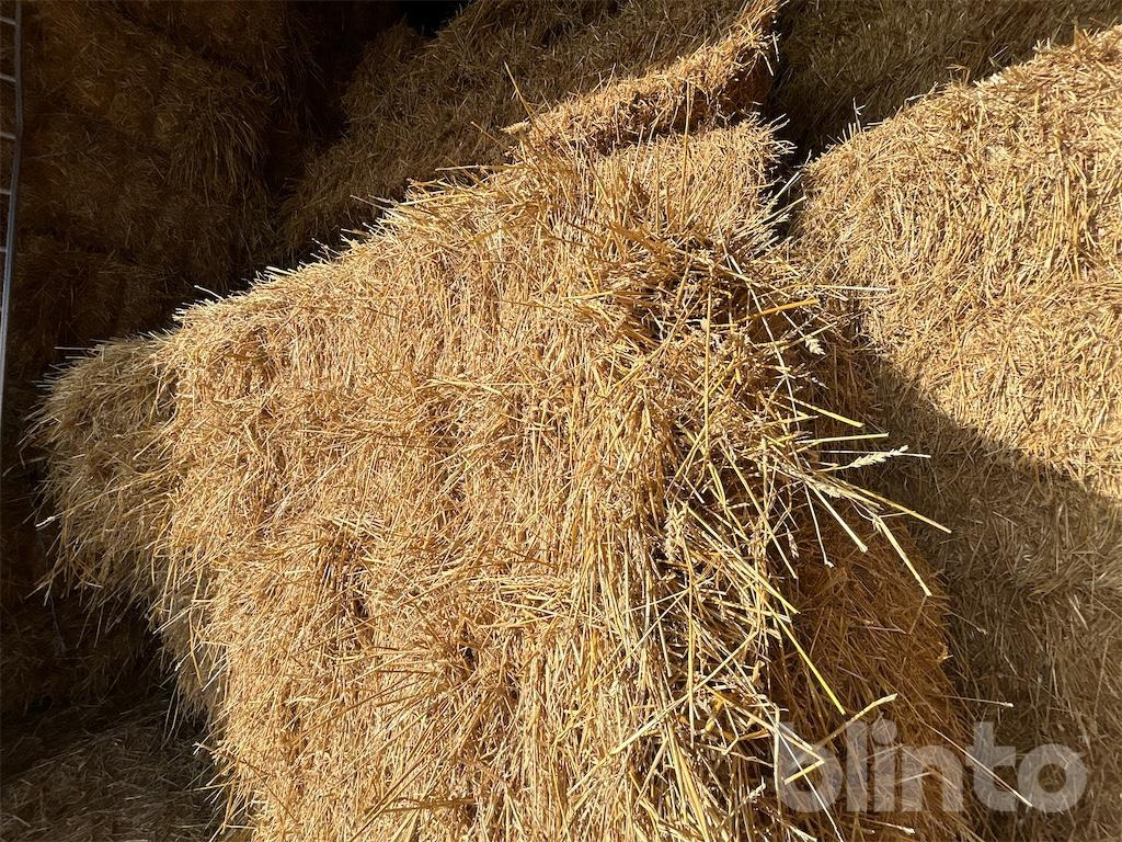 56 styck - Livestock equipment: picture 4 56 styck - Livestock equipment: picture 4