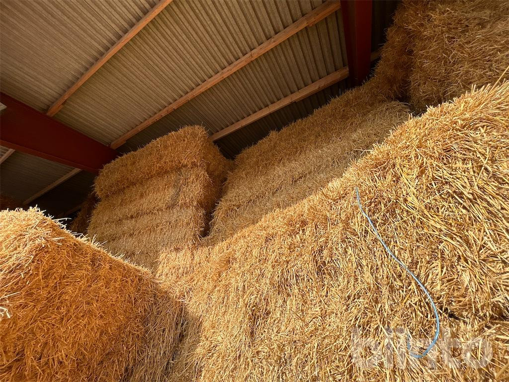 56 styck - Livestock equipment: picture 5 56 styck - Livestock equipment: picture 5