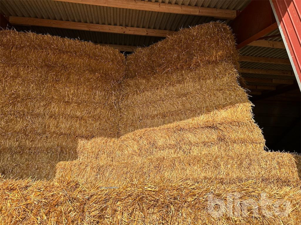 56 styck - Livestock equipment: picture 3 56 styck - Livestock equipment: picture 3