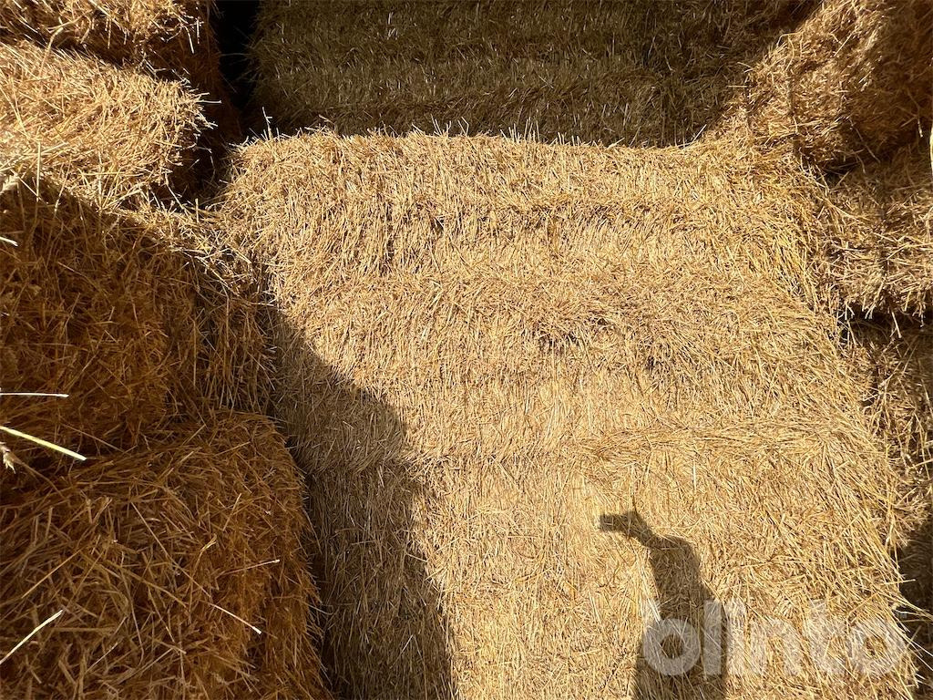 56 styck - Livestock equipment: picture 3 56 styck - Livestock equipment: picture 3