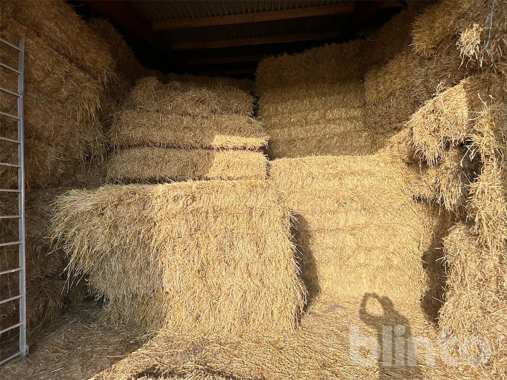 56 styck - Livestock equipment: picture 1 56 styck - Livestock equipment: picture 1