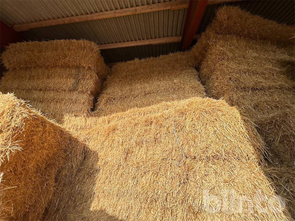 56 styck - Livestock equipment: picture 2 56 styck - Livestock equipment: picture 2