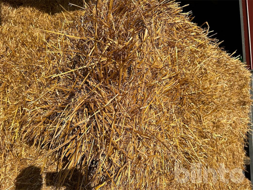 56 styck - Livestock equipment: picture 5 56 styck - Livestock equipment: picture 5