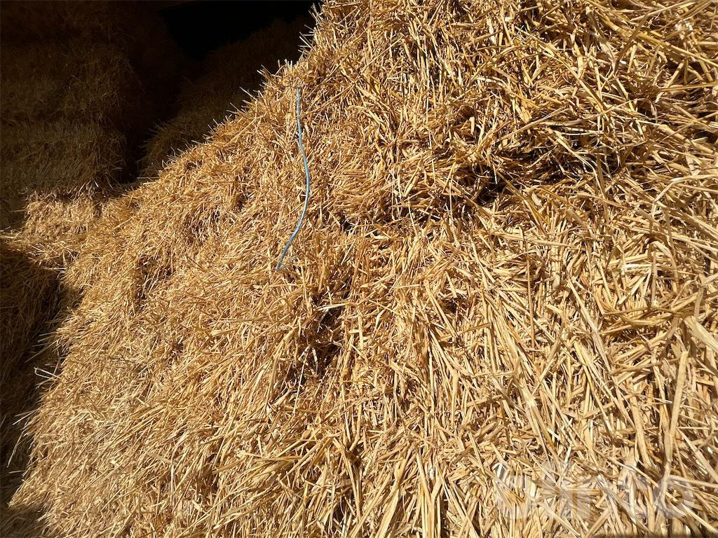 56 styck - Livestock equipment: picture 4 56 styck - Livestock equipment: picture 4