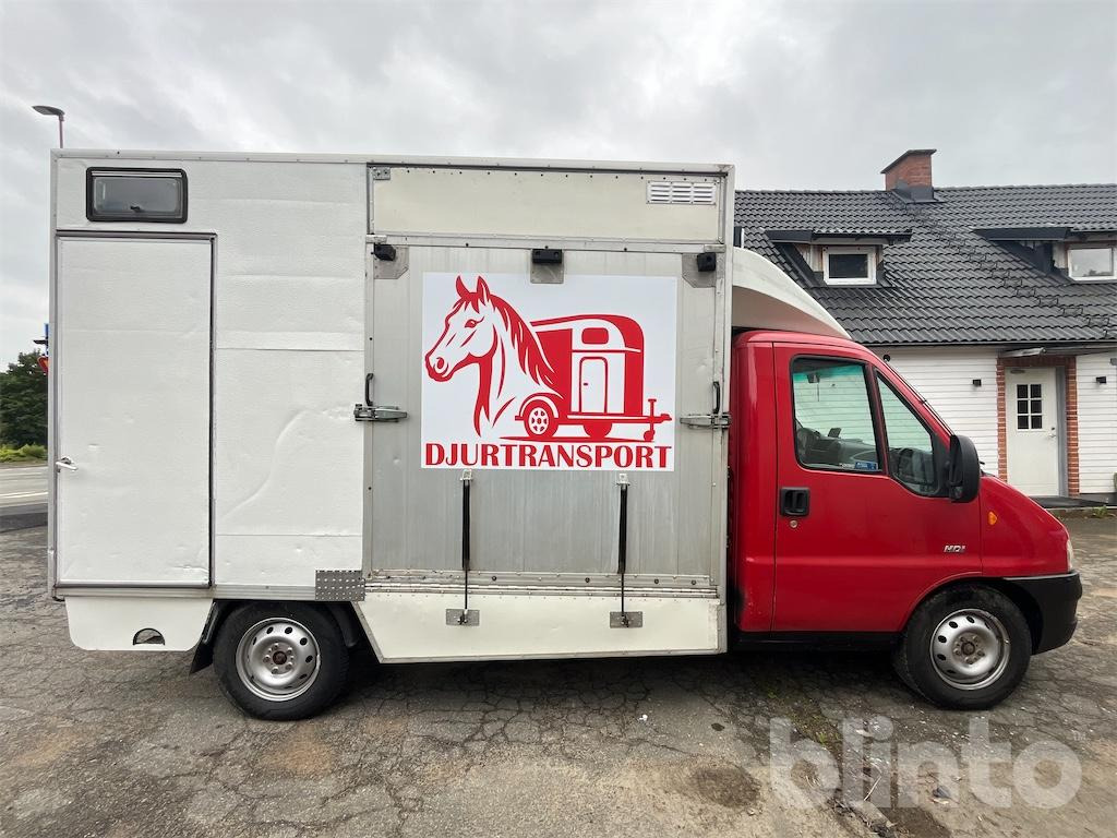 PEUGEOT BOXER CHA-CAB 35 - Horse truck, Van: picture 4 PEUGEOT BOXER CHA-CAB 35 - Horse truck, Van: picture 4