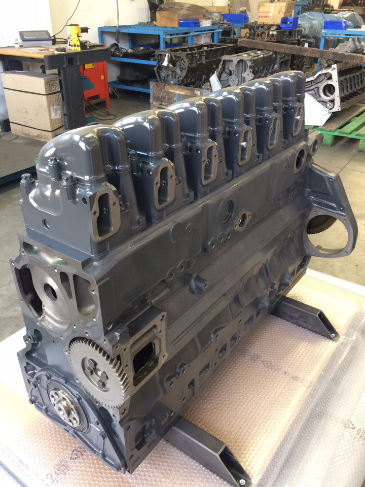 Engine MOTORE MAN E2876LUH03 / E2876 LUH03 - GAS - 310CV: picture 9